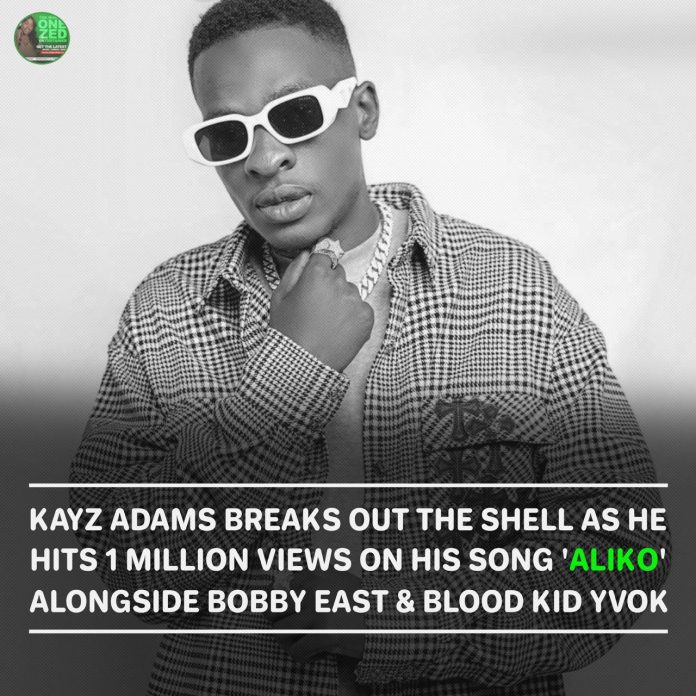 Aliko by Kayz Adams scoops 1 million views on Youtube